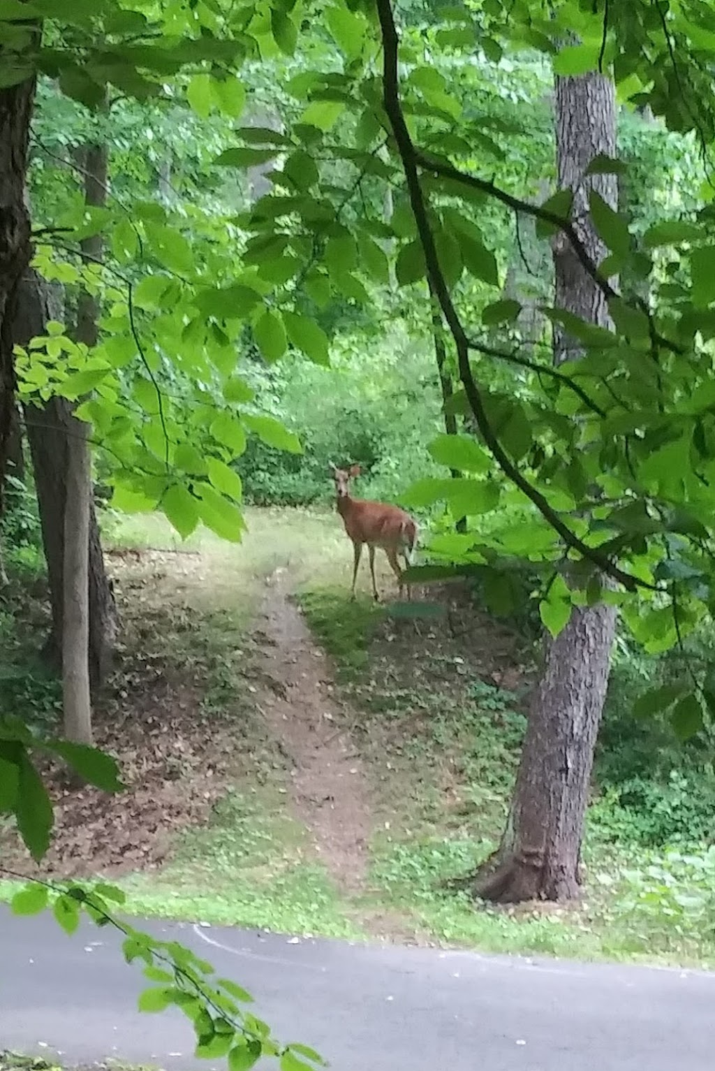 Liberty Park | Park Dr, Girard, OH 44420, USA | Phone: (330) 545-3306