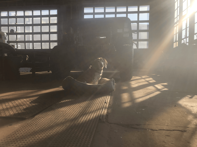 Oscar Mike Welding | 192 W Main St, Amsterdam, NY 12010, USA | Phone: (518) 903-4617