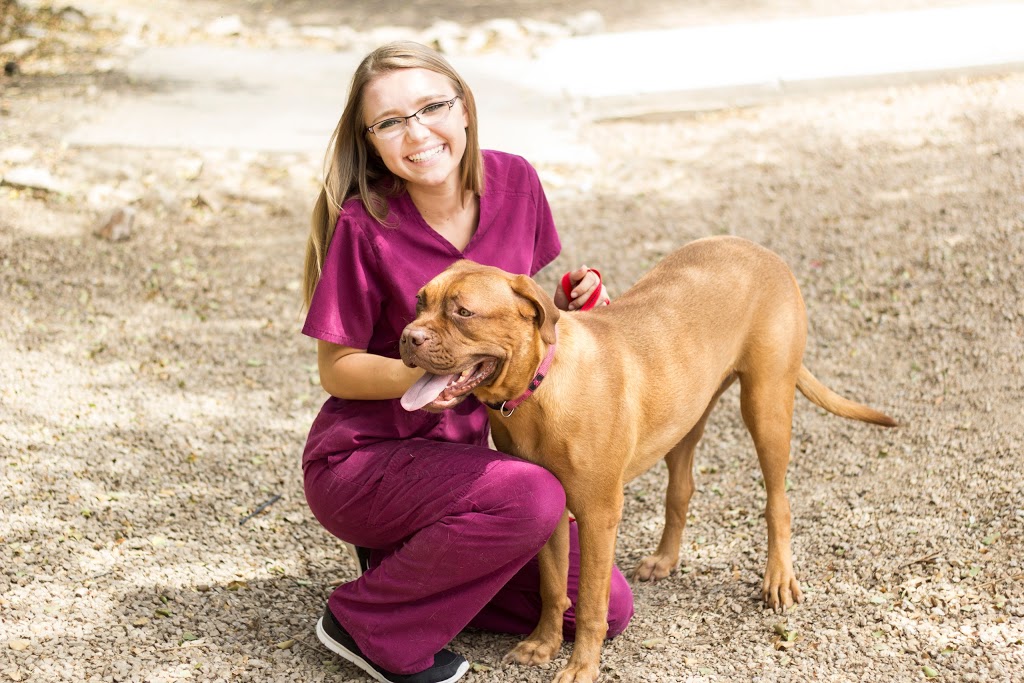 Seville Veterinary Hospital | 6348 S Higley Rd, Gilbert, AZ 85298, USA | Phone: (480) 279-2831