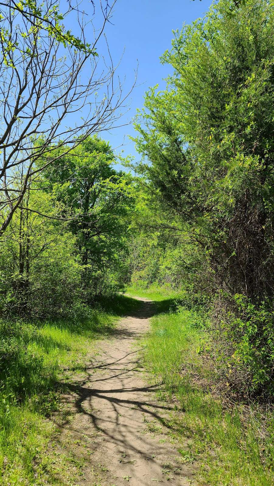 Kachina Prairie Park | 1816 W Baldridge St, Ennis, TX 75119, USA | Phone: (972) 878-1234