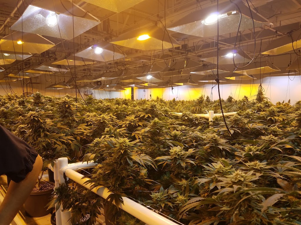 Garden State Dispensary | 950 US-1, Woodbridge, NJ 07095, USA | Phone: (848) 999-2005