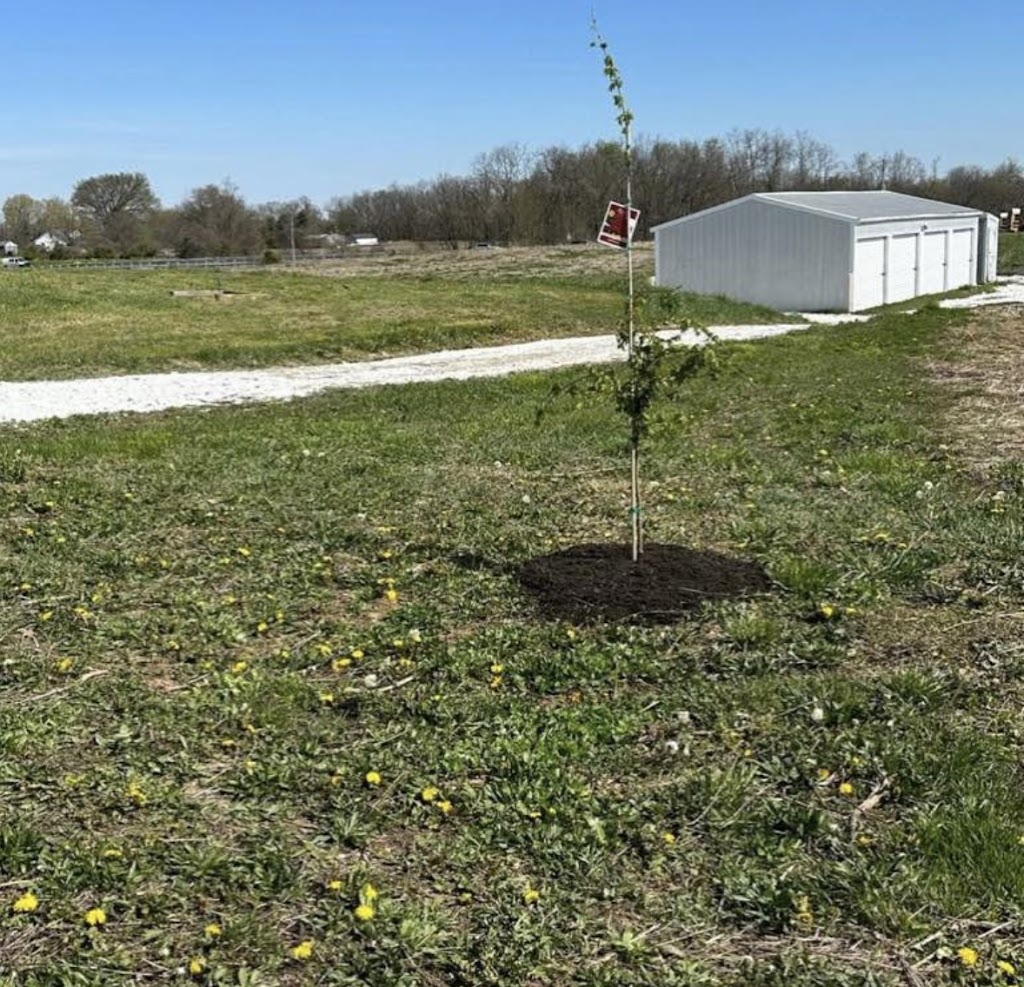 County Line Campground & Storage | 4240 Walton Pike, Dover, KY 41034, USA | Phone: (606) 584-1980