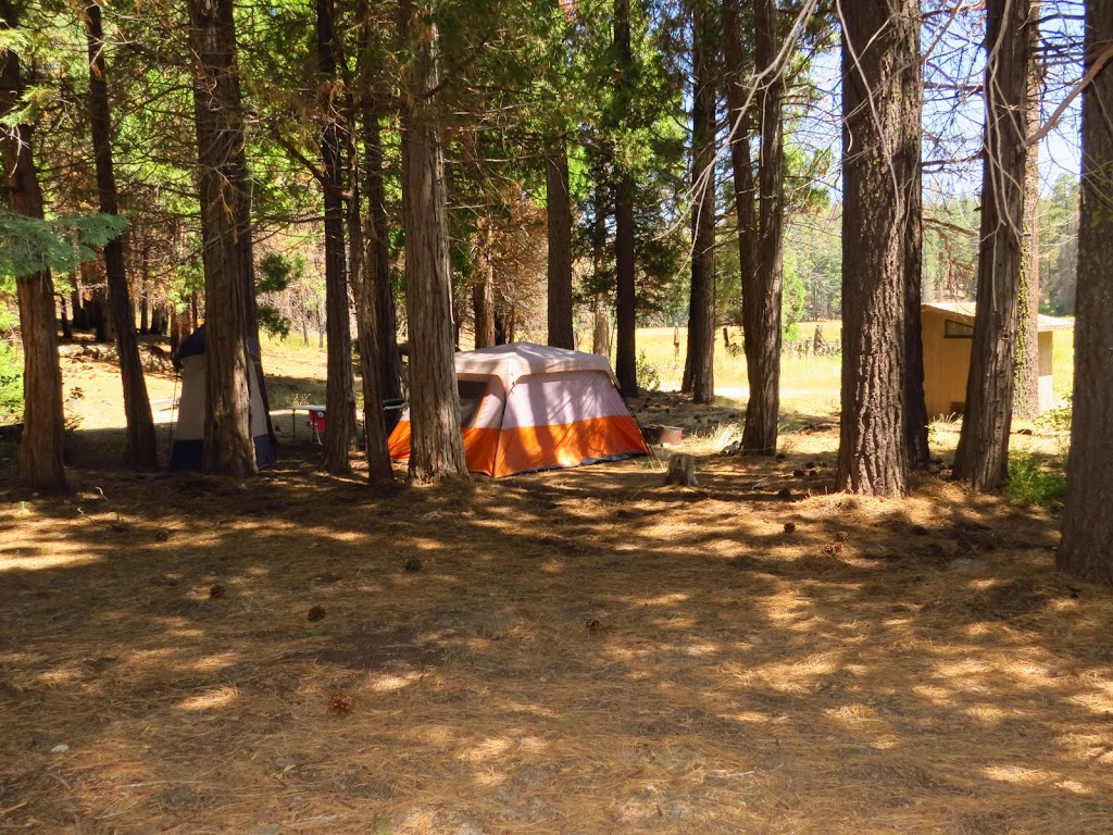 Long Meadow Group Campground | Camp Nelson, CA 93208, USA | Phone: (559) 539-5230