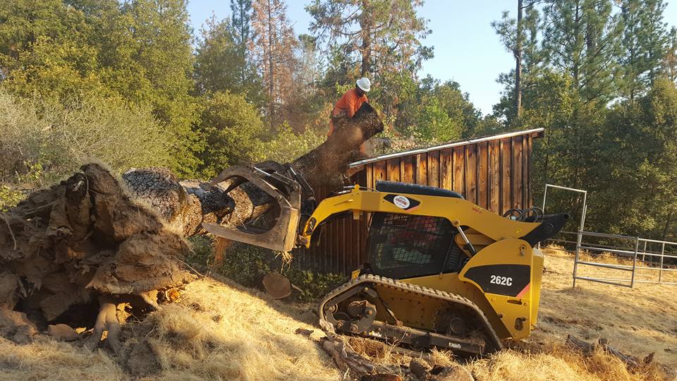 Central Sierra Pest Control, Inc. | 54566 Rd 200, North Fork, CA 93643, USA | Phone: (559) 658-6262