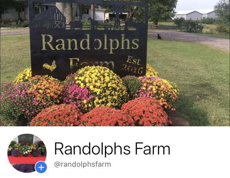 Randolphs Farm | 12722 Hon Rd, Moores Hill, IN 47032, USA | Phone: (513) 520-4634