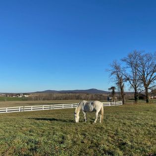 Kismet Farm Equestrian Center | 1630 Pleasant View Rd, Adamstown, MD 21710, USA | Phone: (603) 562-9754