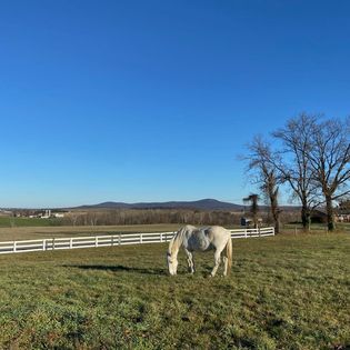 Kismet Farm Equestrian Center | 1630 Pleasant View Rd, Adamstown, MD 21710 | Phone: (603) 562-9754