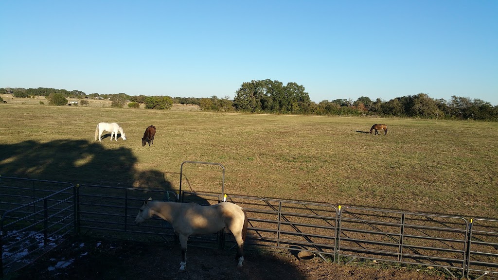 Fine Print Farms | 285 Obst Rd, Bulverde, TX 78163, USA | Phone: (210) 580-4080