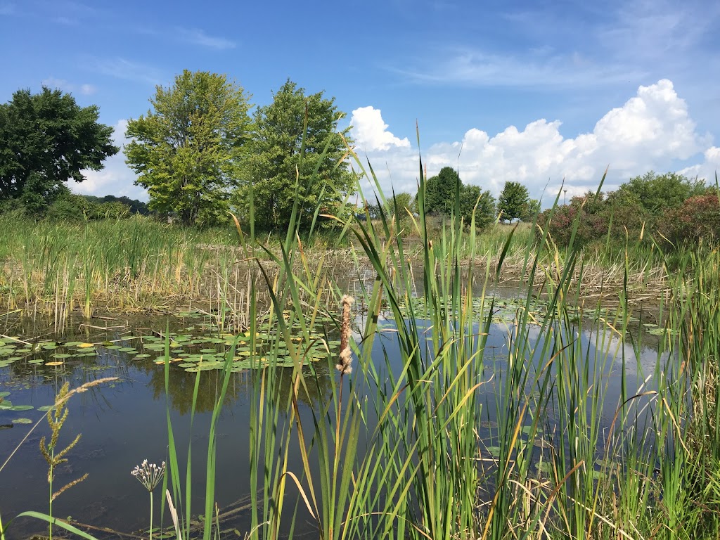 Meeman Shelby Park Nature Center | 361 Grassy Lake Rd, Millington, TN 38053, USA | Phone: (901) 876-6552