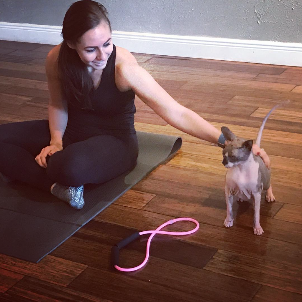 Kinetic Soul Westchase | 11961 Sheldon Rd, Tampa, FL 33626, USA | Phone: (813) 444-8394 Kinetic Soul Westchase | 11961 Sheldon Rd, Tampa, FL 33626, USA | Phone: (813) 444-8394