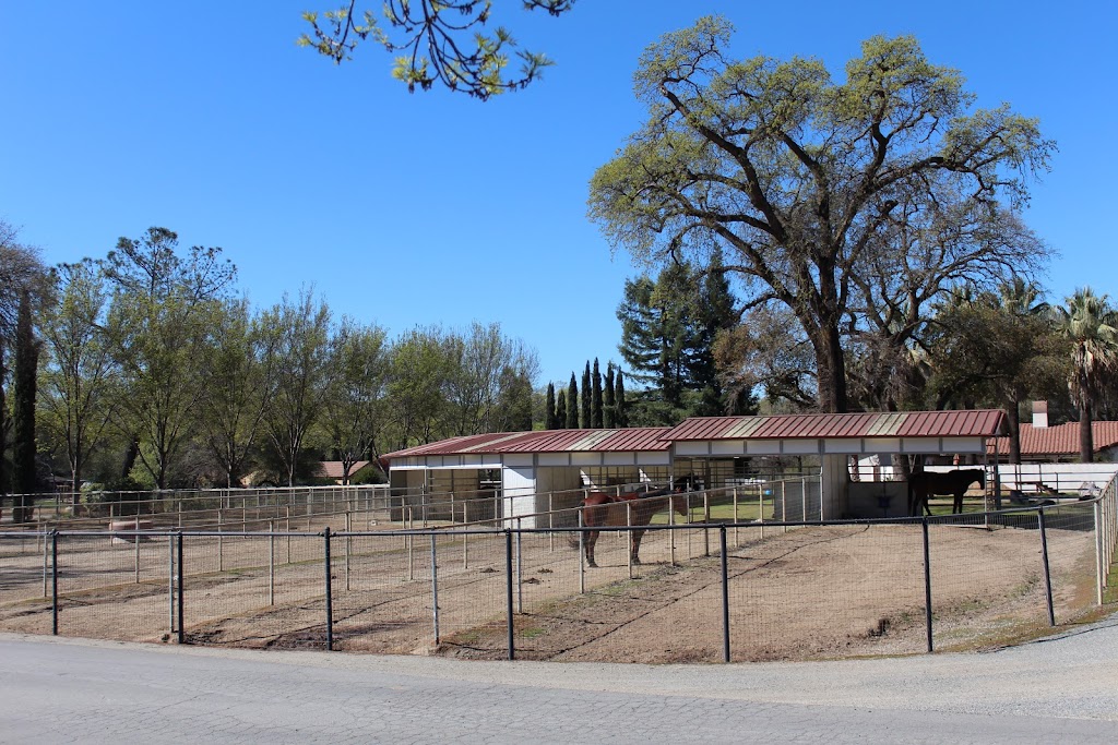 Lakeside Equestrian Center | 3635 Auburn Folsom Rd, Loomis, CA 95650, USA | Phone: (916) 652-2197