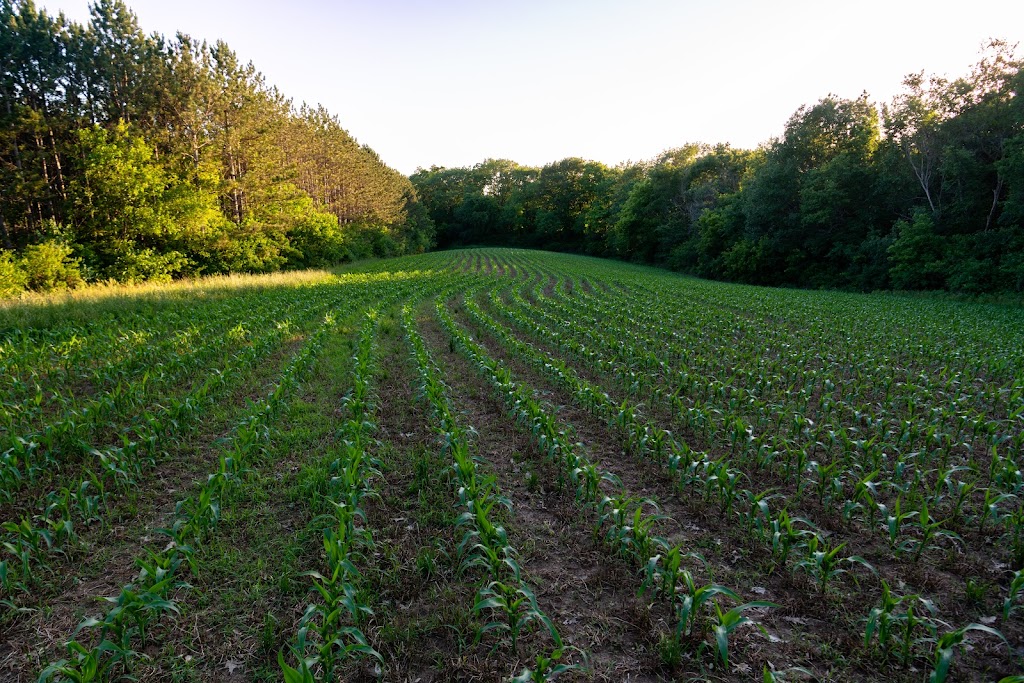 Black Earth Creek Wildlife Area Sunnyside Unit | 7646-7690, US-14, Middleton, WI 53562 | Phone: (608) 224-3730