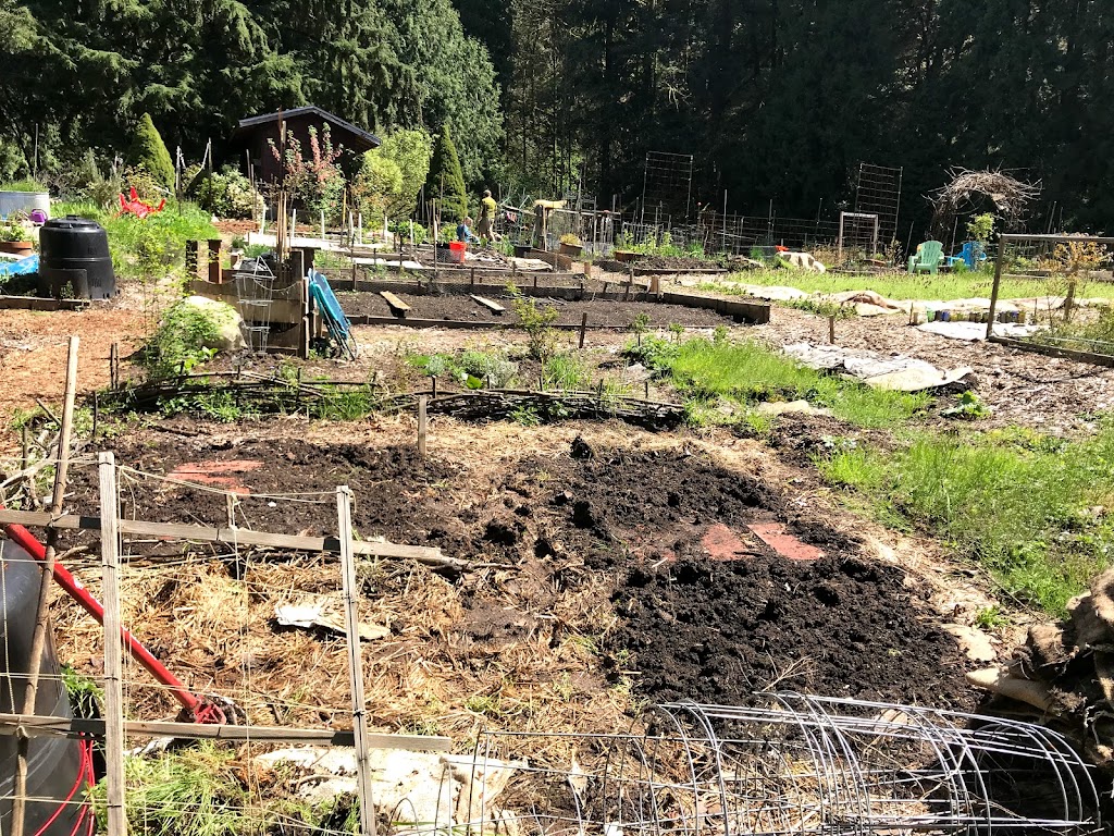 Adams Community Garden | 4300 NW Cornell Rd, Portland, OR 97210, USA | Phone: (503) 823-1612