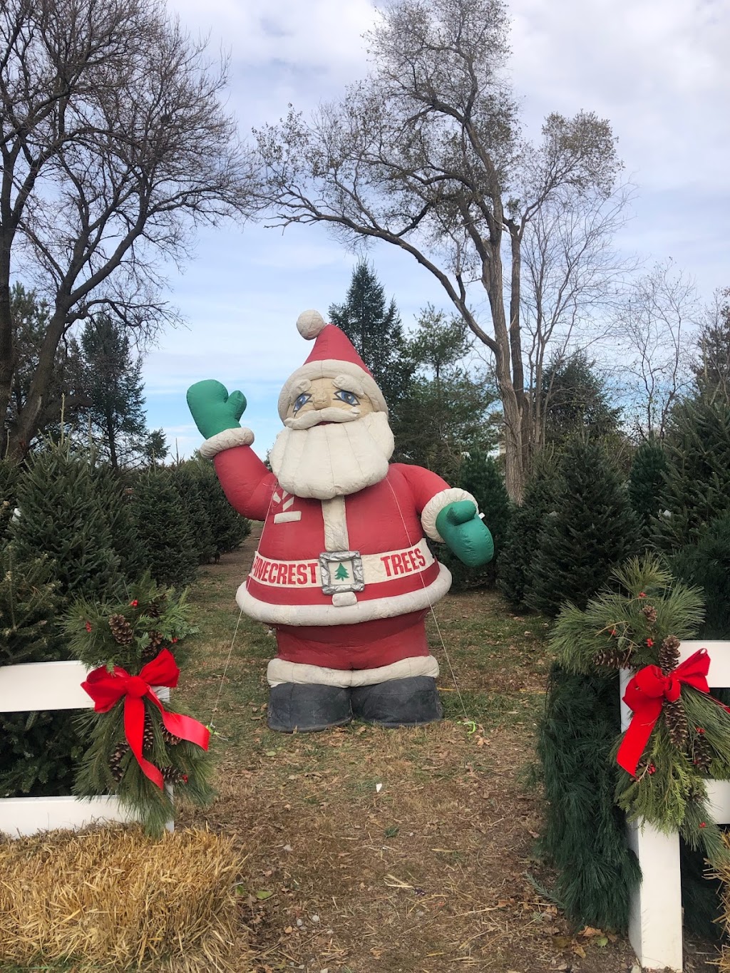 Pinecrest Tree Farm | 503 S Walnut St, Blue Springs, NE 68318, USA | Phone: (402) 645-3010