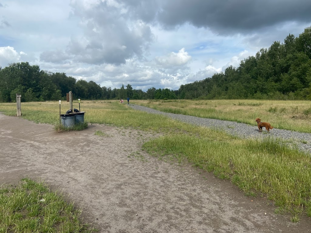 Sandy River Delta | Thousand Acres Rd, Troutdale, OR 97060, USA | Phone: (503) 695-2372