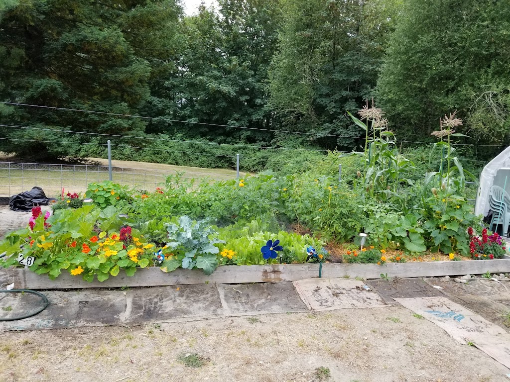 Raab Park Community P-Patch Garden | 18349 Caldart Ave NE, Poulsbo, WA 98370, USA | Phone: (360) 779-9898