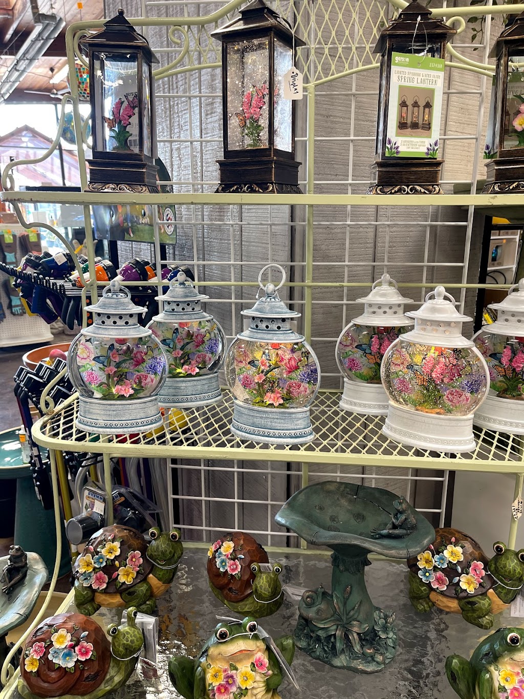 Pandys Garden Center | 41600 Griswold Rd, Elyria, OH 44035, USA | Phone: (440) 324-4314