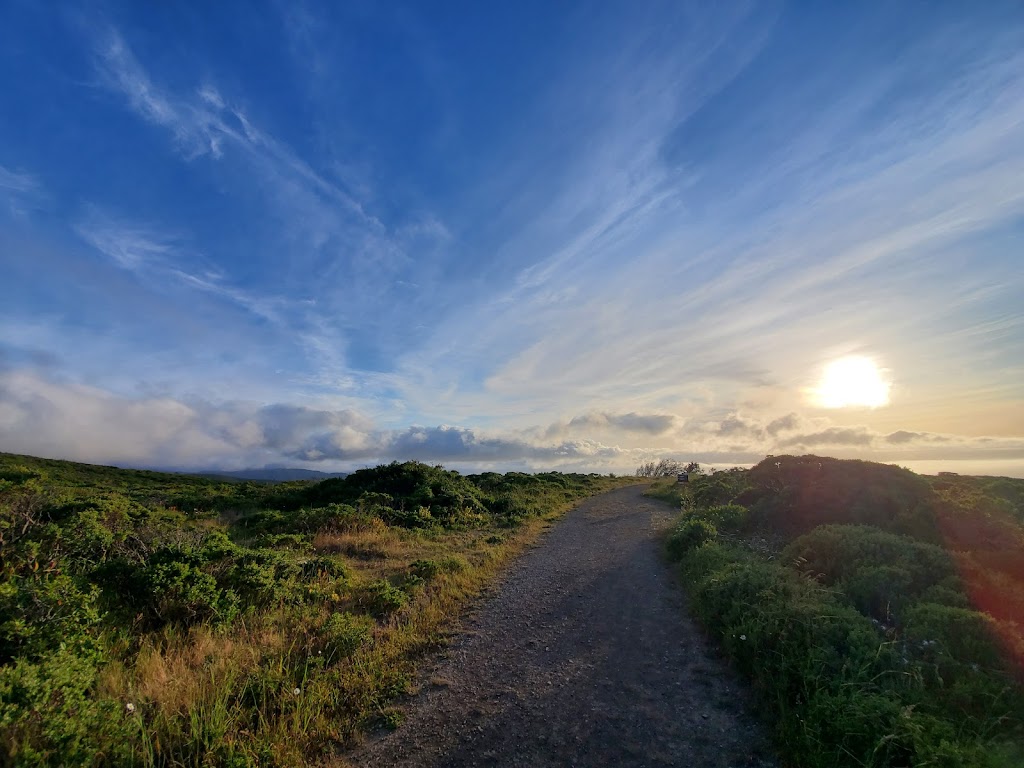 Sweeney Ridge Trail | Pacifica, CA 94044, USA | Phone: (415) 561-4323