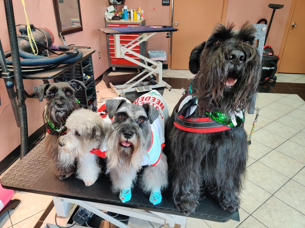 Fur Friends Pet Salon | 5180 Eldorado Pkwy STE 203, McKinney, TX 75070, USA | Phone: (469) 422-6062