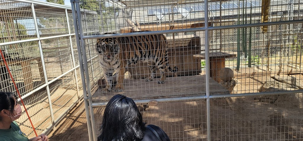 Forever Wild Exotic Animal Sanctuary | 8545 Buttemere Rd, Phelan, CA 92371 | Phone: (760) 868-2755