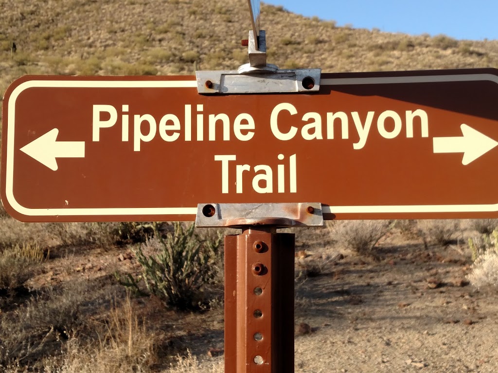 Pipeline Canyon Trailhead (North) | Castle Hot Spring Rd, Morristown, AZ 85342, USA | Phone: (602) 372-7460