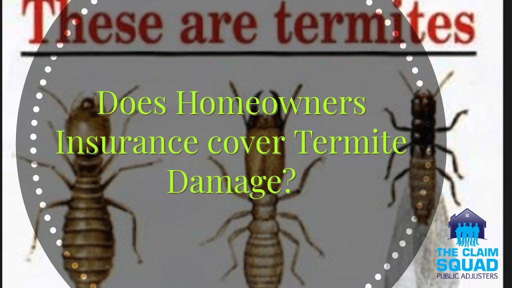 The Claim Squad Public Adjusters | 4420 NE 22nd Ave, Lighthouse Point, FL 33064, USA | Phone: (754) 252-5438