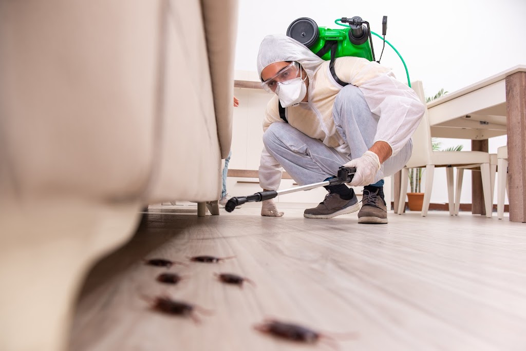 Moat Termite & Pest Control | 28820 Sunny View Dr, Menifee, CA 92584, USA | Phone: (760) 978-5999