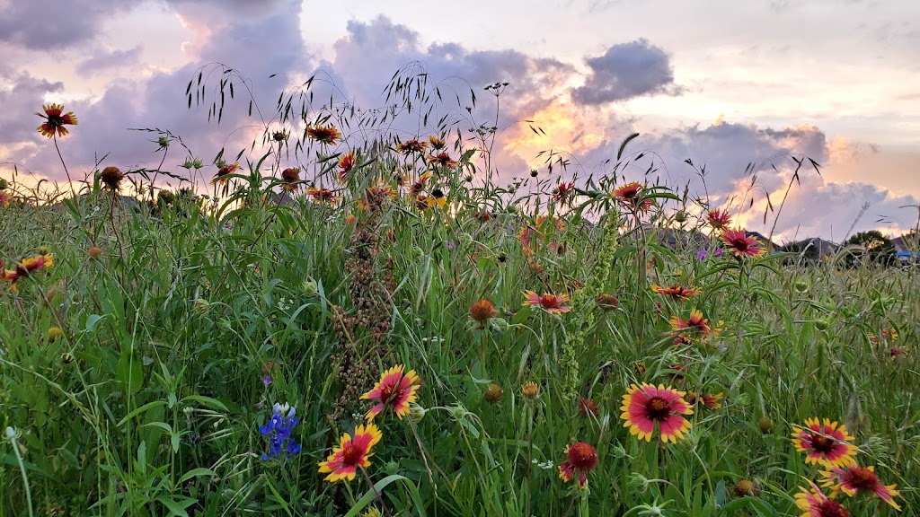 Cottonwood Creek Greenbelt | 3925 Bear Creek Ln, Frisco, TX 75033, USA | Phone: (972) 292-6500