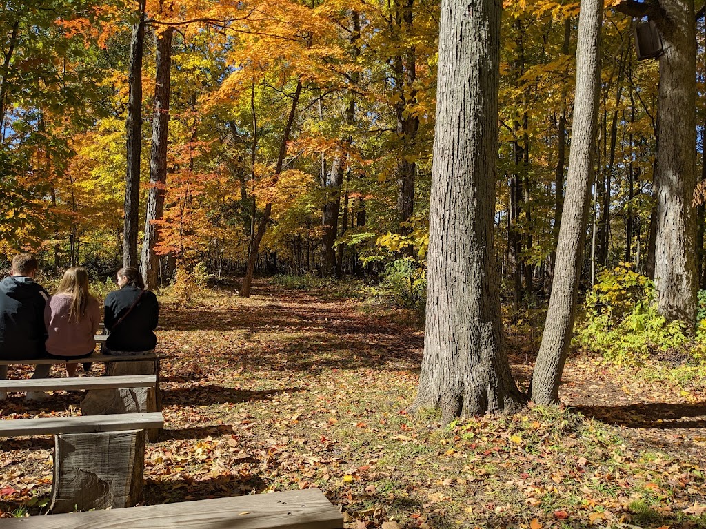 Sandy Knoll County Park | 2064 Wallace Lake Rd, West Bend, WI 53090, USA | Phone: (262) 335-4445