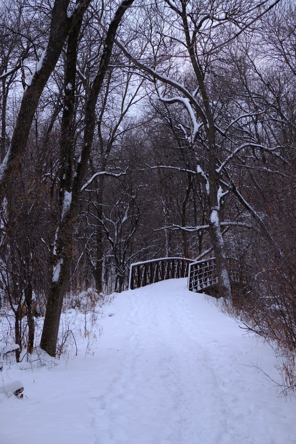 Rice Creek North Regional Trail Access | Shoreview, MN 55126, USA | Phone: (651) 266-8500