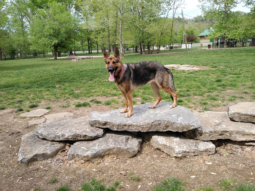 Kellogg Park Dog Field | 6701 Kellogg Rd, Cincinnati, OH 45230, USA | Phone: (513) 474-0003