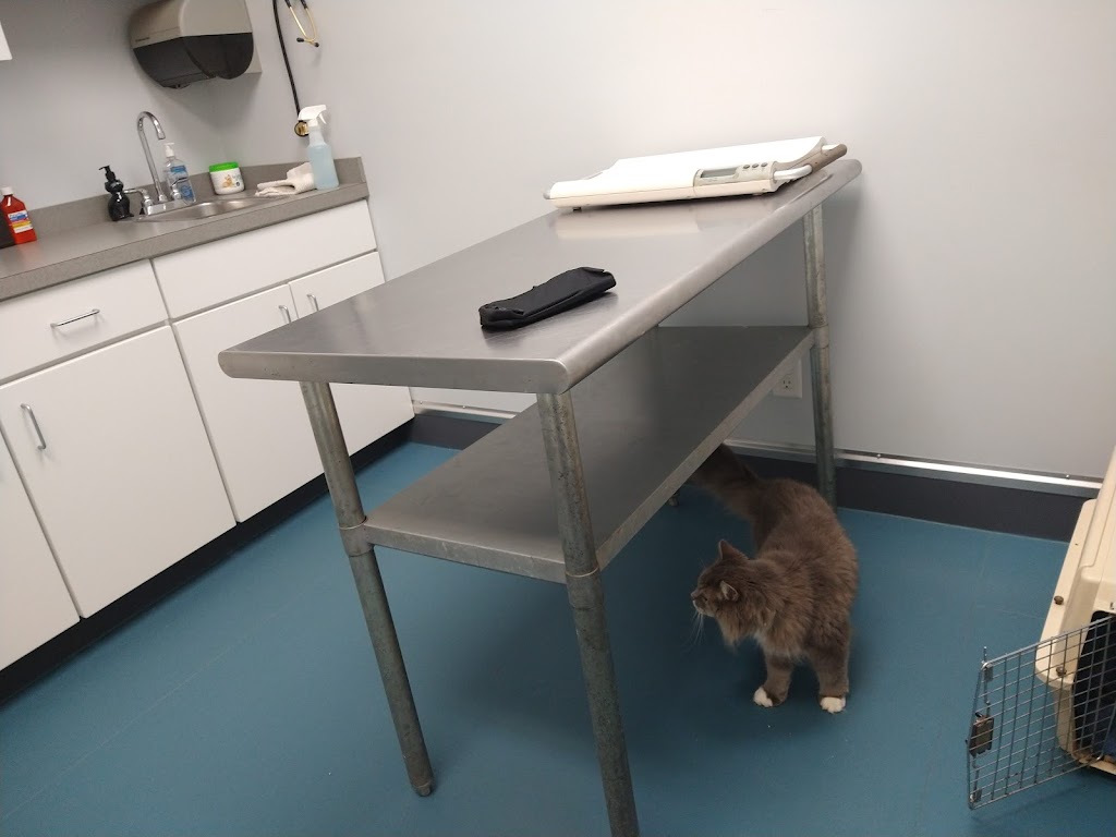 Forestville Animal Hospital | 27 Main St, Forestville, NY 14062, USA | Phone: (716) 965-1021