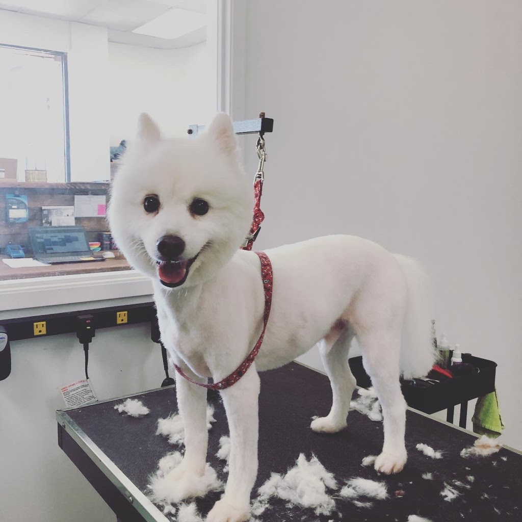 Dirty Dog Grooming | 17360 Colima Rd, Rowland Heights, CA 91748, USA | Phone: (626) 820-9032