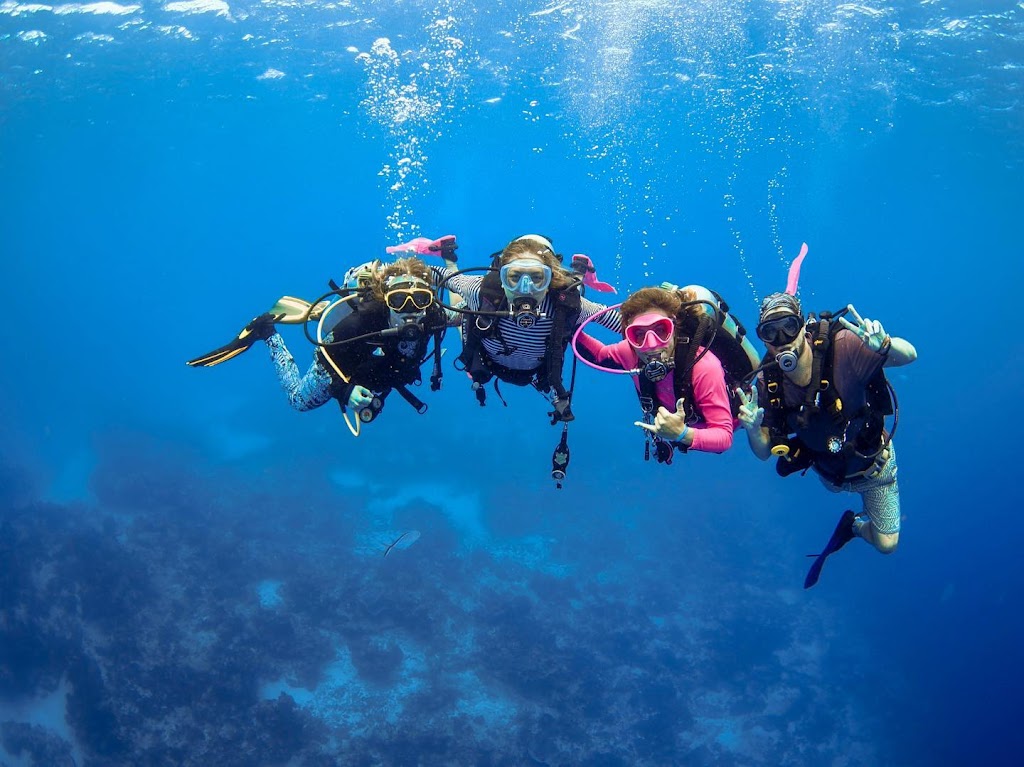 Diversion Excursion - Lady Go Diver | 515 N Federal Hwy, Deerfield Beach, FL 33441, USA | Phone: (954) 758-7524