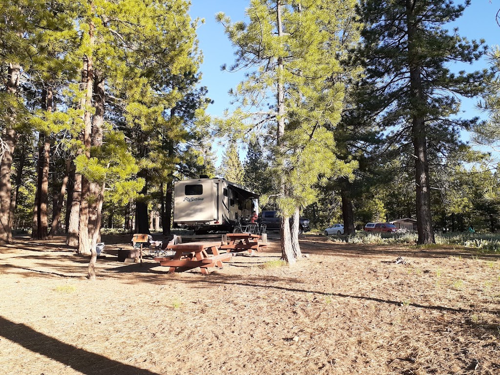 Logger Campground | 10811 Stockrest Springs Rd, Truckee, CA 96161, USA | Phone: (530) 265-4531