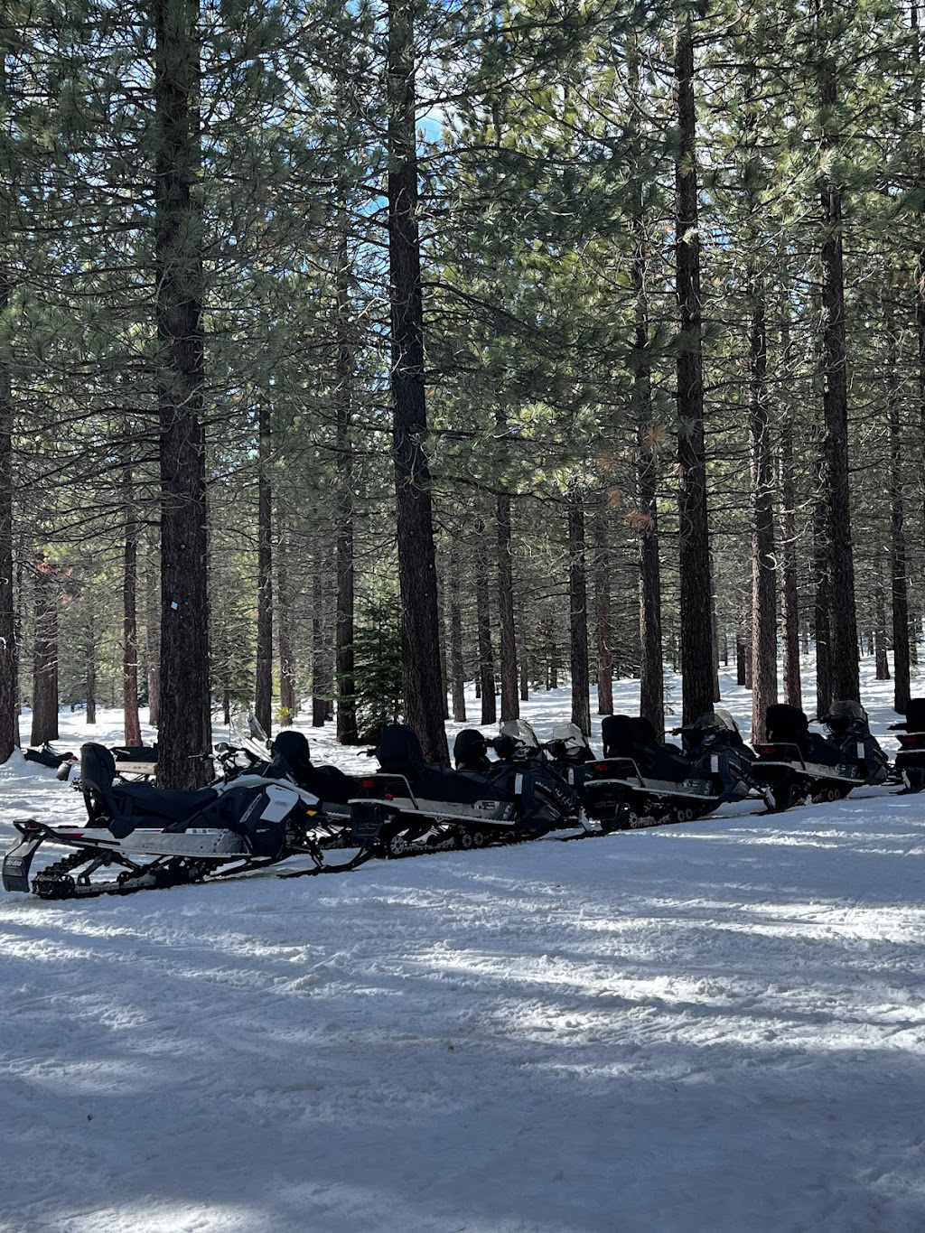 Coldstream Adventures Tours | 877 Cabin Creek Rd, Truckee, CA 96161, USA | Phone: (530) 582-9090