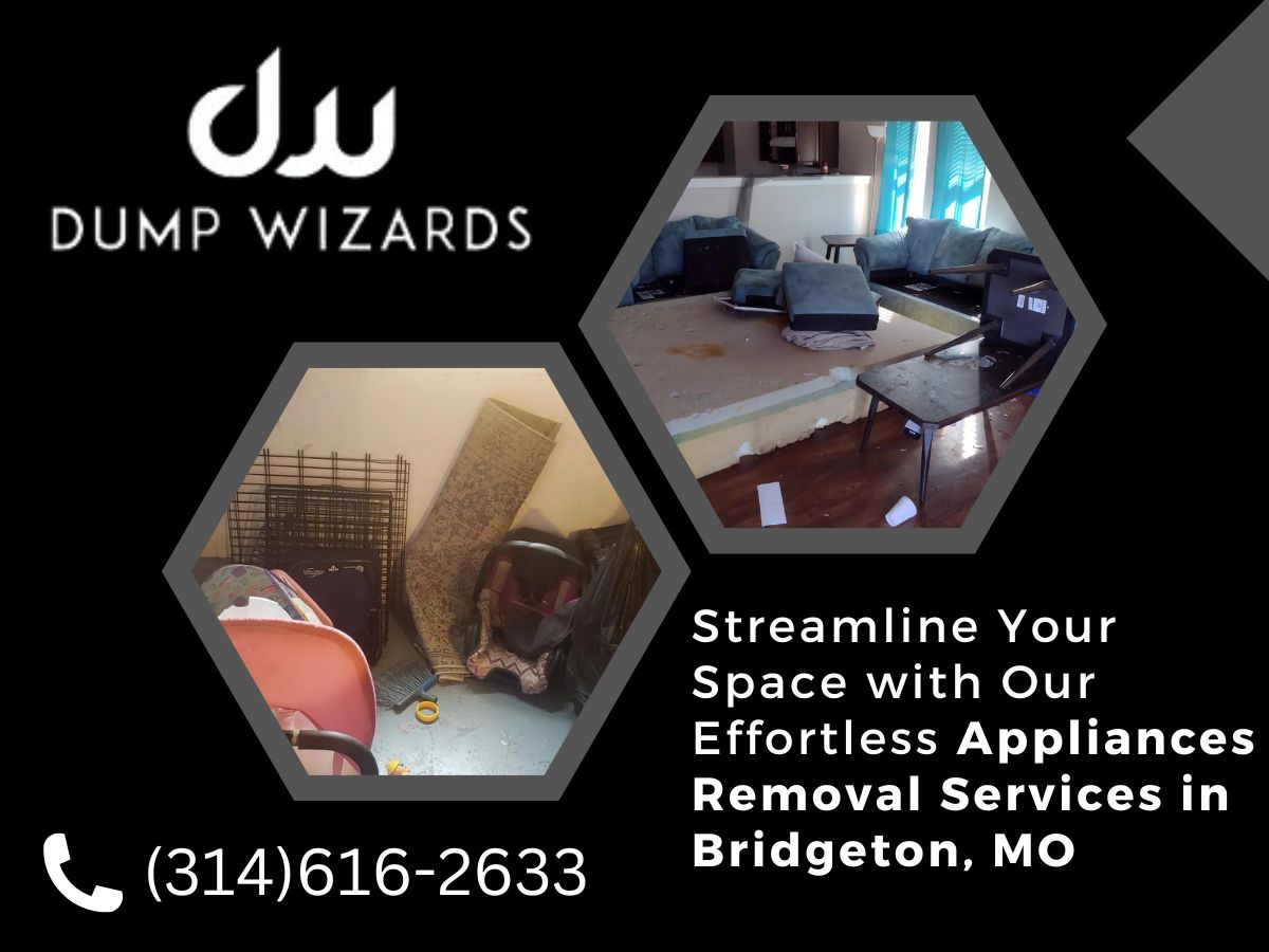 Dump Wizards | 637 Landis Ave, Bridgeton, NJ 08302, United States | Phone: (314) 616-2633