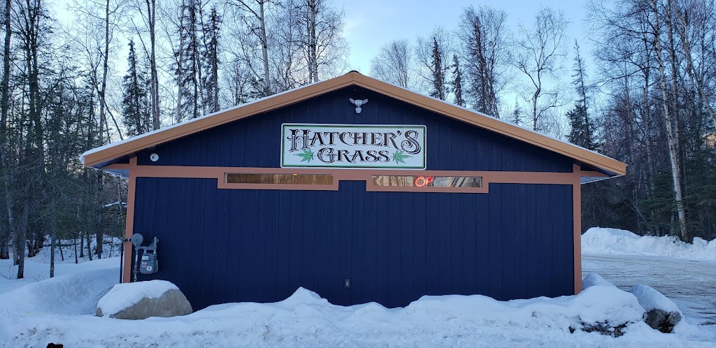 Hatchers Grass | 9300 N Palmer-Fishhook Rd, Palmer, AK 99645, USA | Phone: (907) 746-3018
