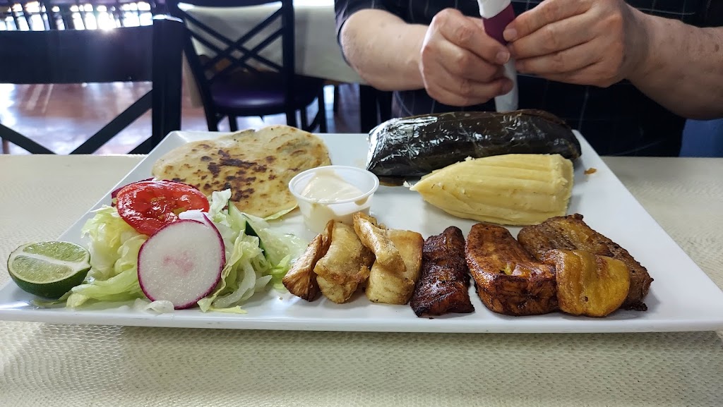 Salvadorian Cuisine | 580 W Arapaho Rd #241, Richardson, TX 75080, USA | Phone: (972) 238-8081