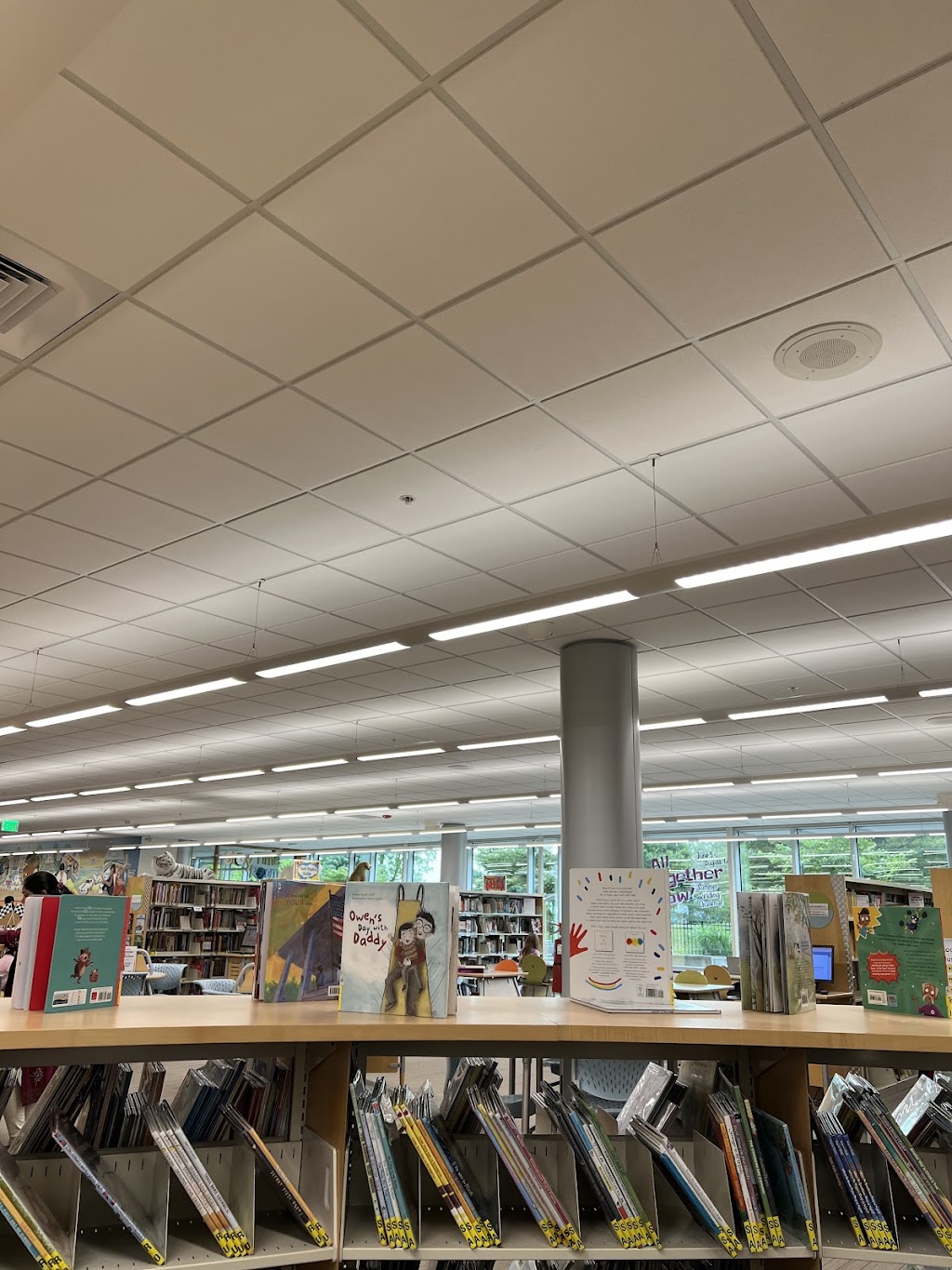 Novi Public Library | 45255 W 10 Mile Rd, Novi, MI 48375, USA | Phone: (248) 349-0720