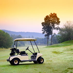 Golf Car Services | 18233 Renton-Maple Valley Rd, Maple Valley, WA 98038, USA | Phone: (206) 295-4067