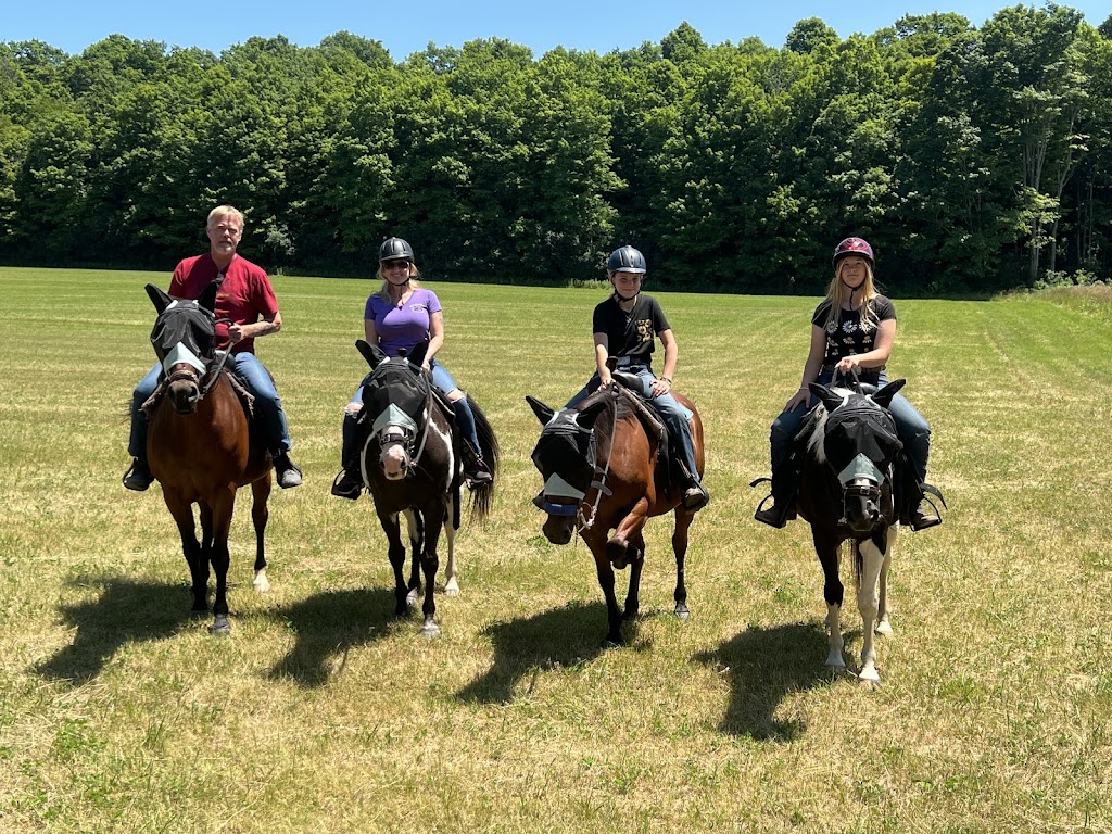 Blazing Trail Rides, LLC | 1999 Berne-Altamont Rd, Altamont, NY 12009, USA | Phone: (518) 424-9086