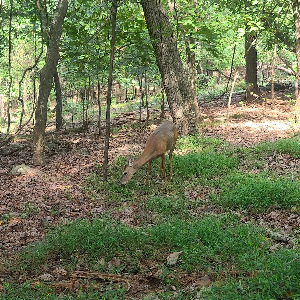 Kennesaw Mountain National Battlefield Park Visitor Center | 900 Kennesaw Mountain Dr, Kennesaw, GA 30152, USA | Phone: (770) 427-4686