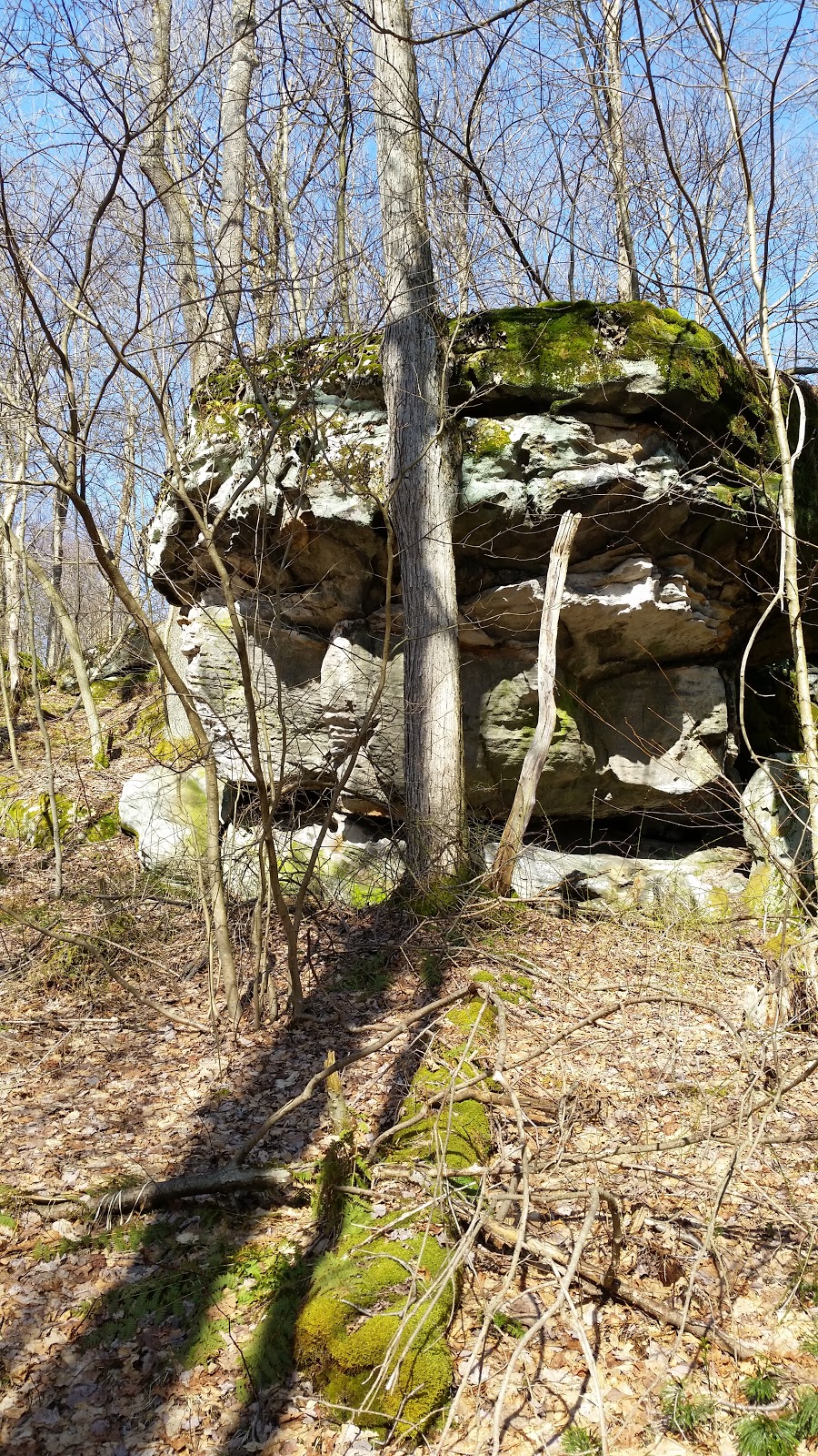 Laurel Highlands Hiking Trailhead Mile 0 | Dunbar, PA 15431, USA | Phone: (724) 455-3744