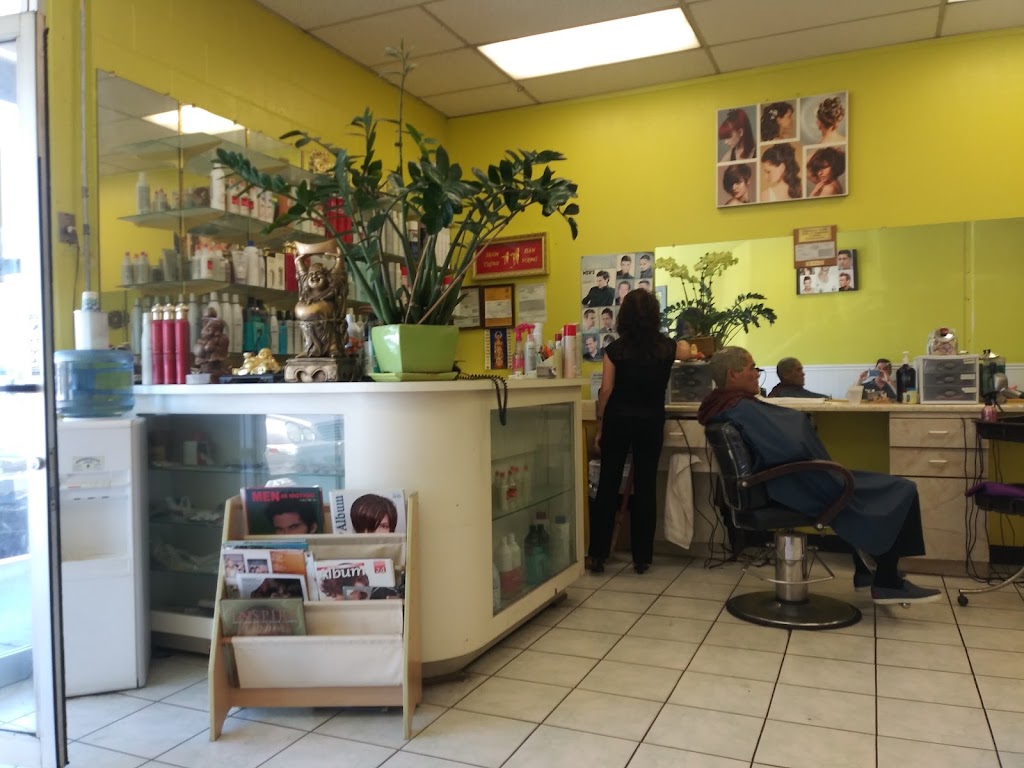 High Life Beauty Salon | 1611 Flickinger Ave, San Jose, CA 95131, USA | Phone: (408) 729-4921