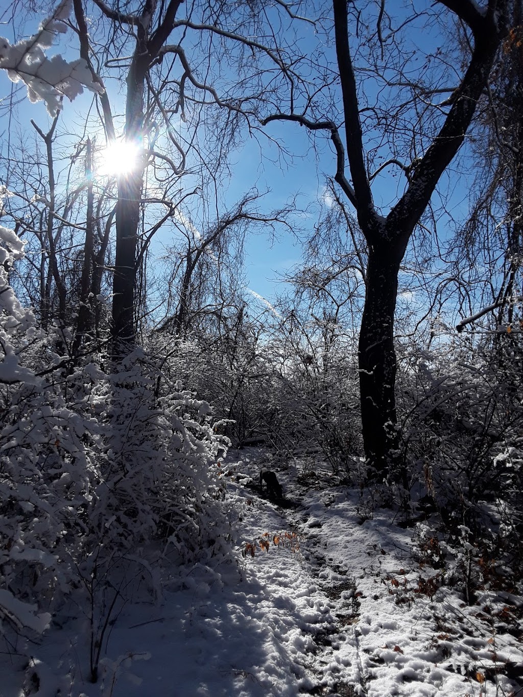 Missouri Greenway Trailhead: Harry S Truman Park | 7029 Howdershell Rd, Hazelwood, MO 63042, USA | Phone: (314) 731-0980