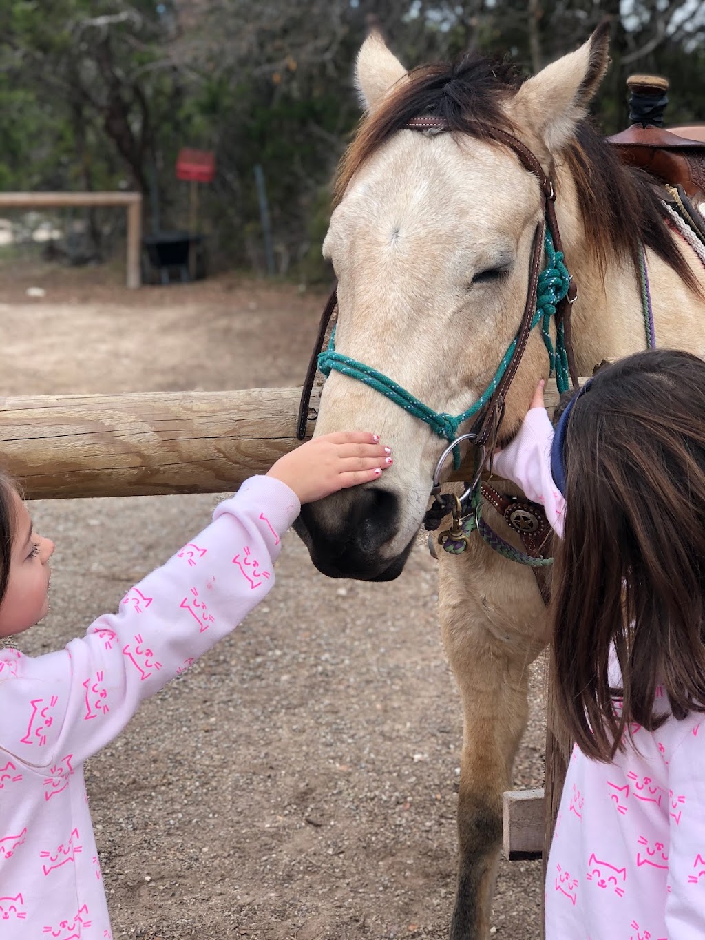 Eagle Eye Ranch Carriage Company | 1629 Park Rd 59, Glen Rose, TX 76043, USA | Phone: (817) 382-9855