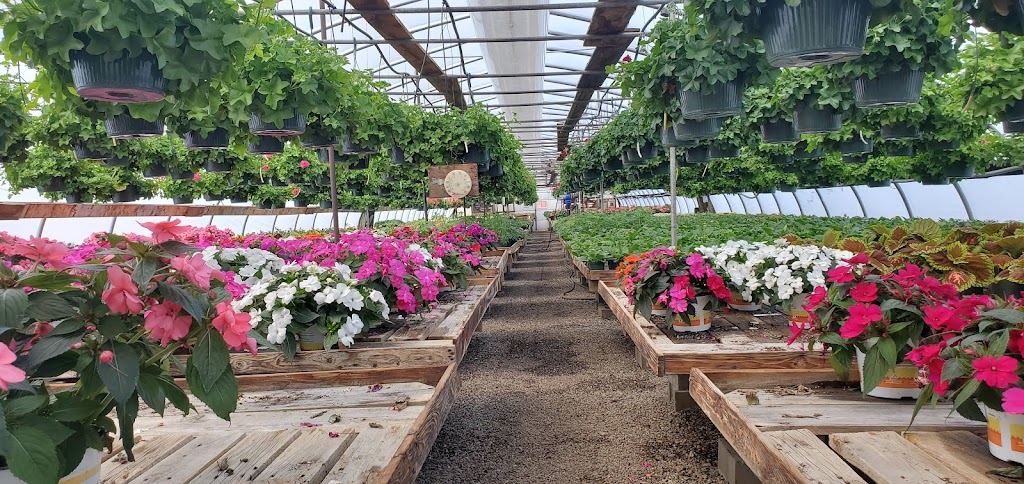 Nessrallas of Avon - Greenhouse and Garden Center | 719 W Main St, Avon, MA 02322, USA | Phone: (508) 587-4229