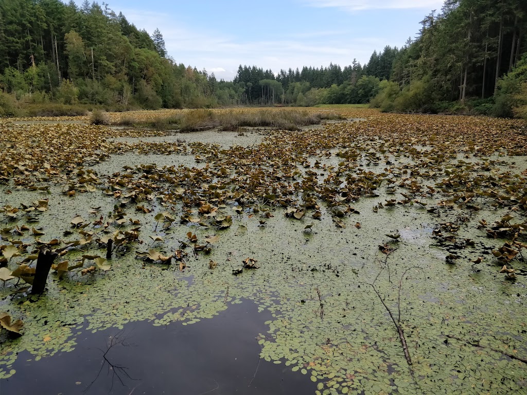 Fisher Pond | Fisher Pond, Vashon, WA 98070, USA | Phone: (206) 463-9602