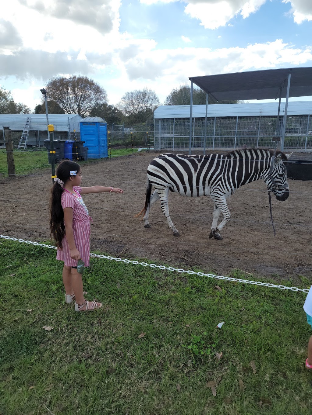 Jennys Zoo | 12611 Andrews Rd, Wimauma, FL 33598, USA | Phone: (813) 362-0336